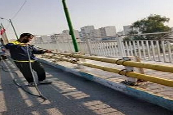 زیباسازی روزانه در منطقه ۳ اهواز؛ ارتقای سیمای شهری با مشارکت نیروهای اجرایی