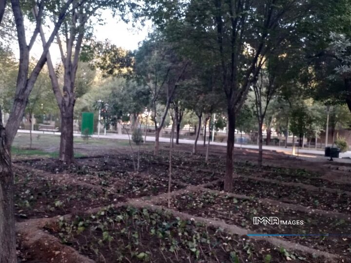 اجرای طرح اصلاح الگوی کاشت و توسعه آبیاری هوشمند در فضای سبز منطقه ۲ اصفهان