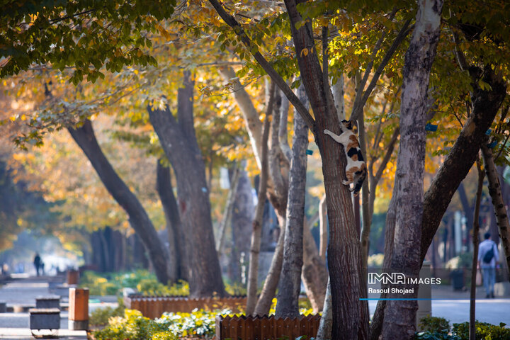پاییز هزار رنگ اصفهان
