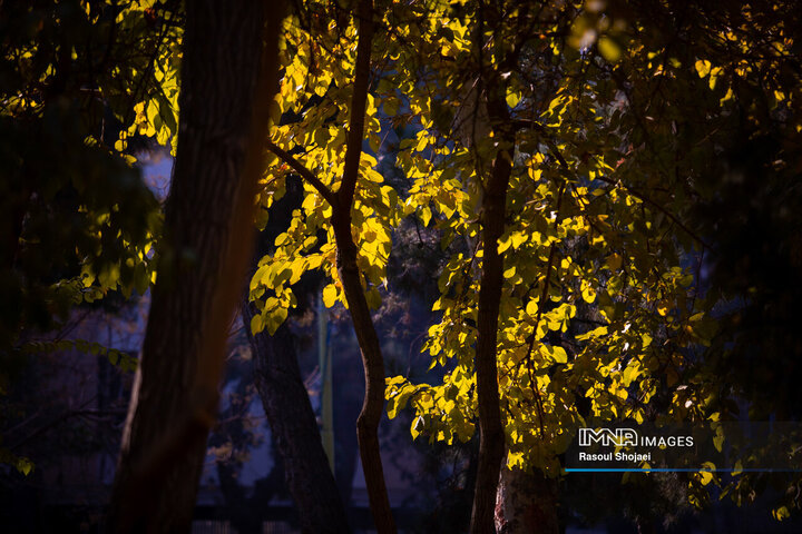 پاییز هزار رنگ اصفهان