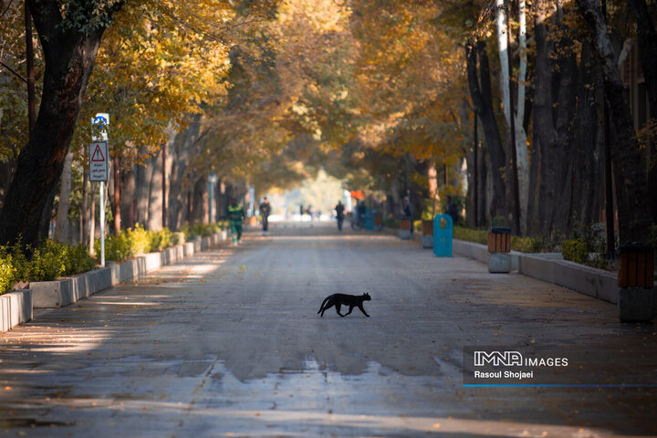 پاییز هزار رنگ اصفهان