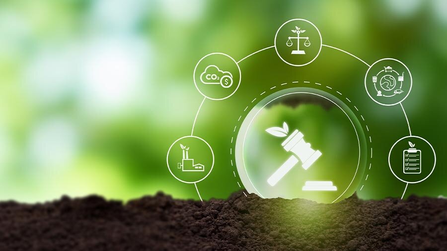 پیوند قانون و فرهنگ برای پاسداری از میراثی سبز