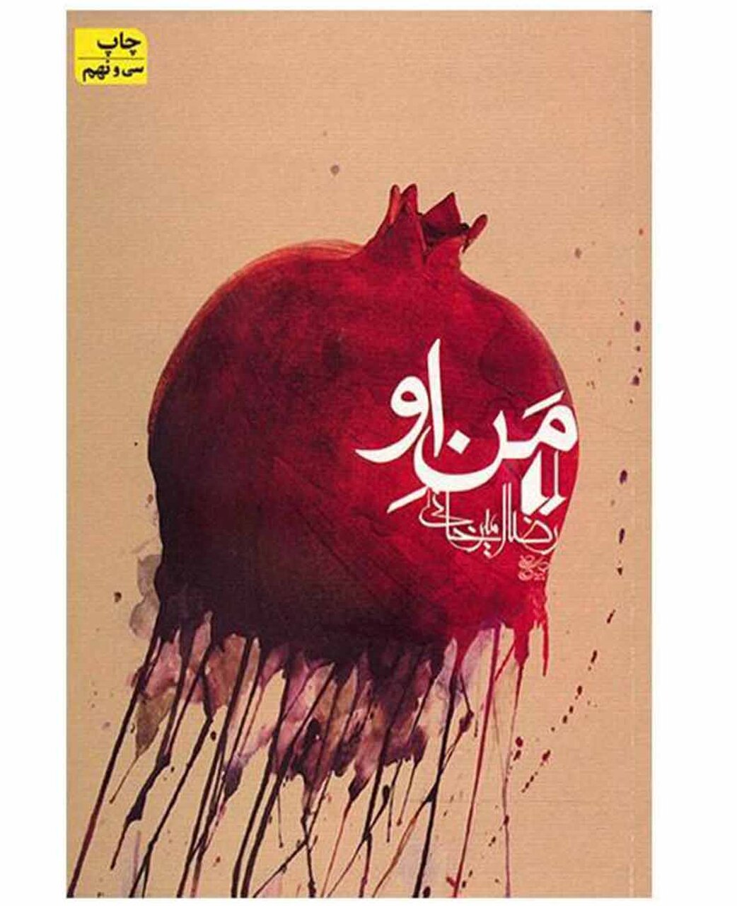 رضا امیرخانی کیست؟ بیوگرافی کامل، آثار شاخص و جزئیات سانحه سقوط پاراگلایدر نویسنده محبوب