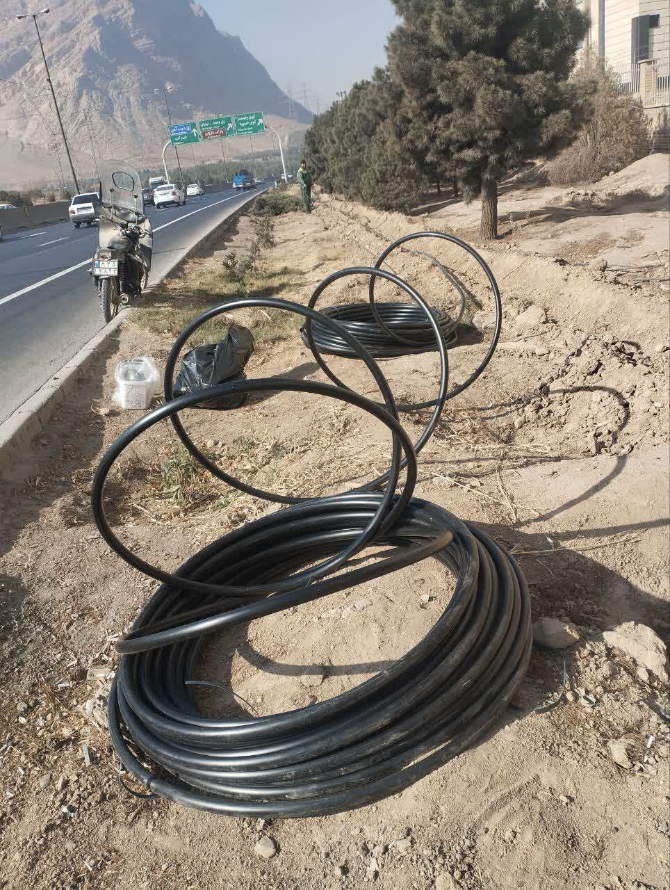 تولید گیاهان مقاوم به بی‌آبی در منطقه ۱۳ اصفهان