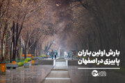 بارش باران پاییزی در اصفهان