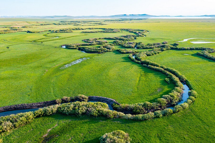تأثیر چشمگیر درختکاری گسترده چین بر چرخه آب این کشور