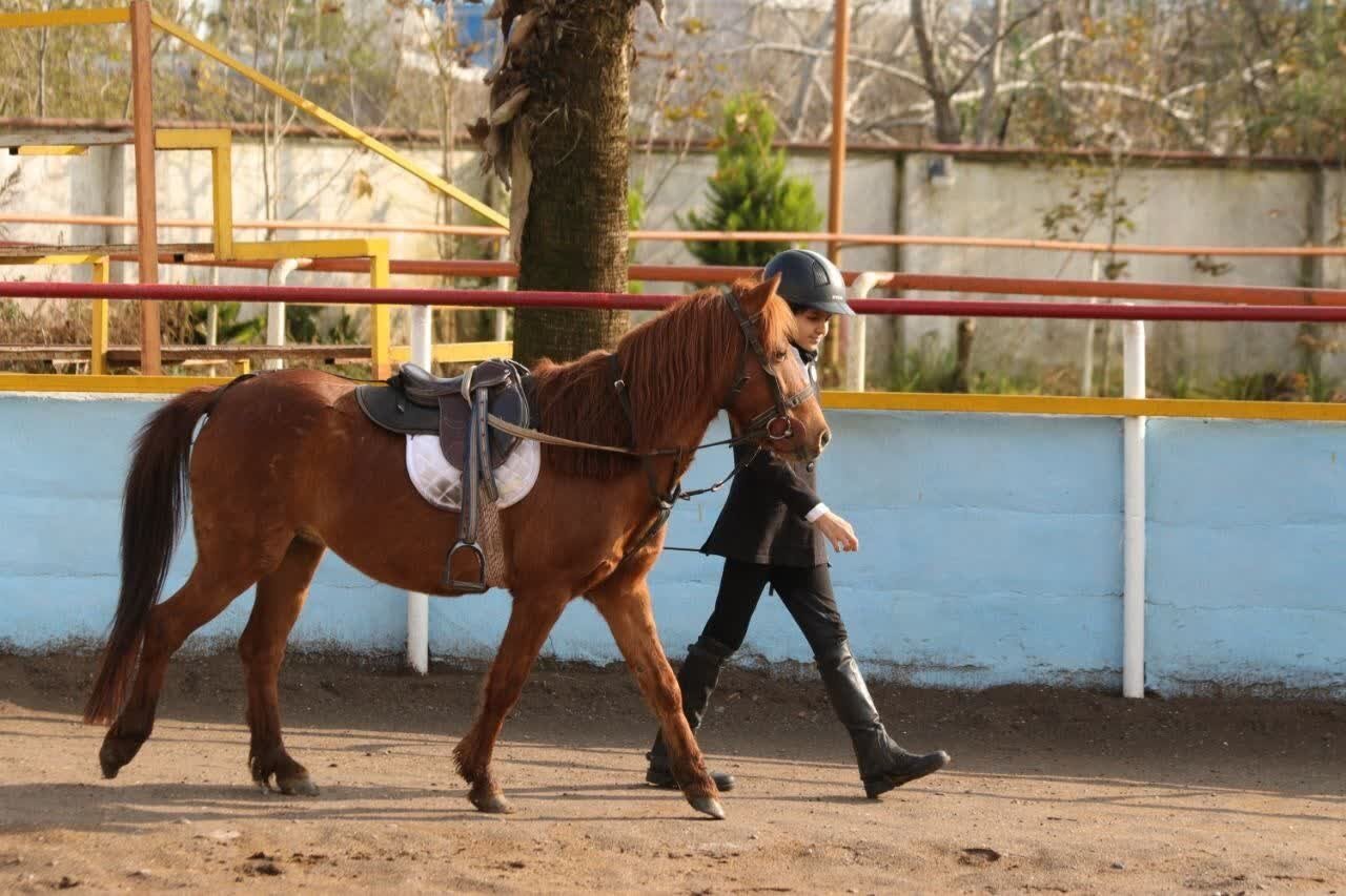 رد پای توسعه در اراضی شوره زار / خلق ثروت در زمینهای بیحاصل