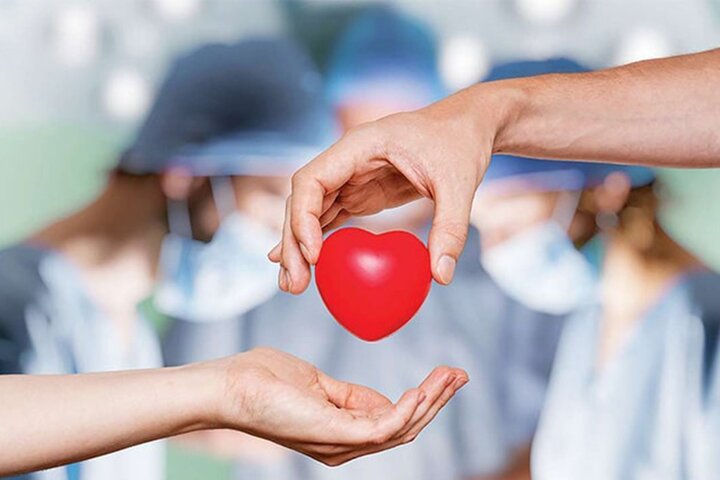 اهدای عضو در نگاه مراجع تقلید