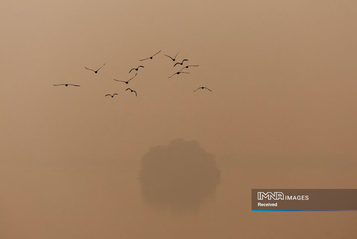 آلودگی شدید هوا در دهلی نو، هند