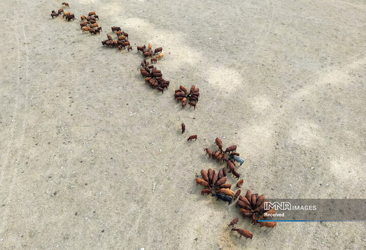 خشکسالی در میدل دانتیسبورن، بریتانیا