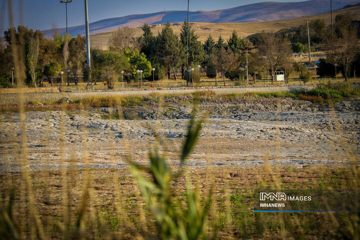 مرگ نیلوفرِکرانشاه ; آغاز فصلی تلخ از بحران آب