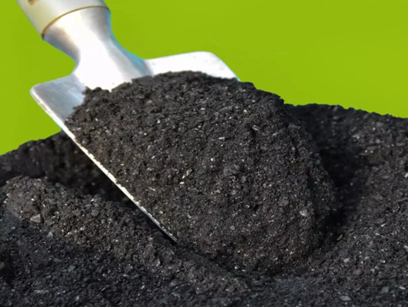 پسماند شهری چگونه به ناجی اقلیم تبدیل می‌شود