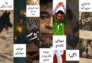 هفت فیلم مرکز مستند سوره به جشنواره سینما حقیقت رسید