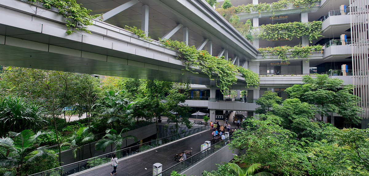 انقلاب شهرهای سلامتمحور؛ از کاهش آلودگی هوا تا زندگی بهتر