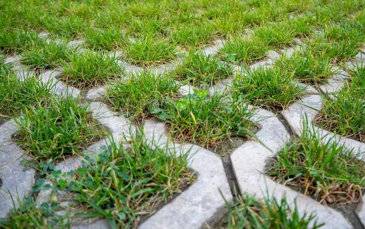 بازتعریف فضاهای عمومی شهرها با جایگزینی کفپوشها با فضای سبز