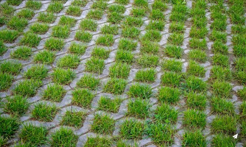 بازتعریف فضاهای عمومی شهرها با جایگزینی کفپوشها با فضای سبز