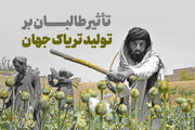 تأثیر طالبان بر تولید تریاک جهان