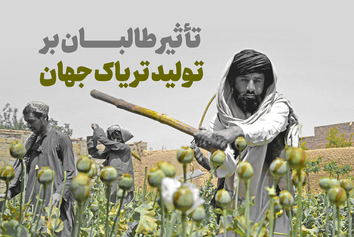 تأثیر طالبان بر تولید تریاک جهان