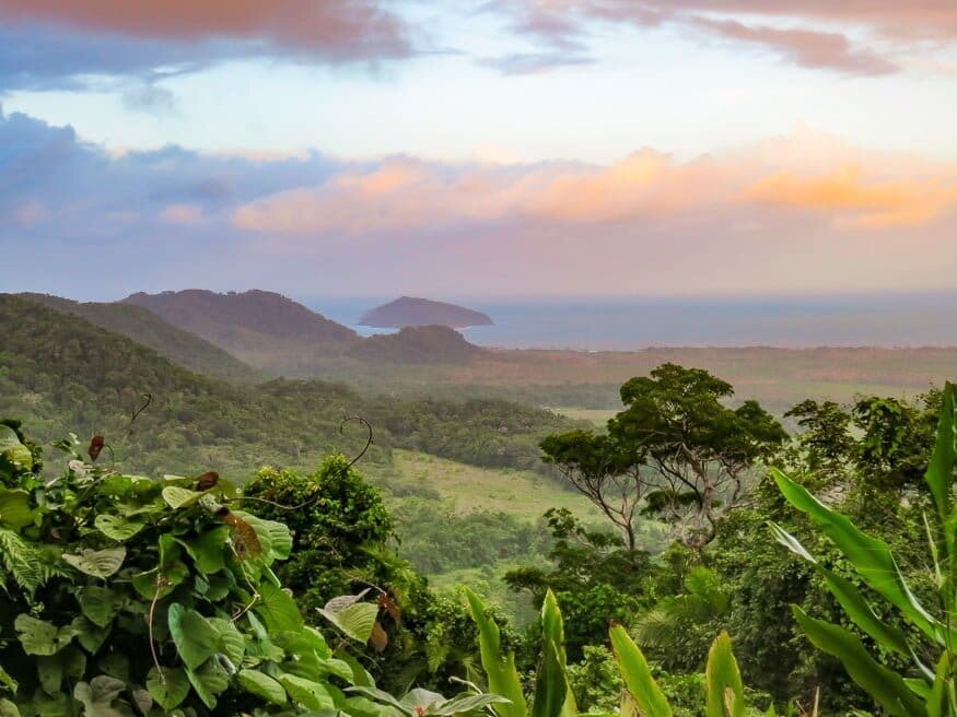 کهن‌ترین جنگل‌های بارانی جهان + عکس