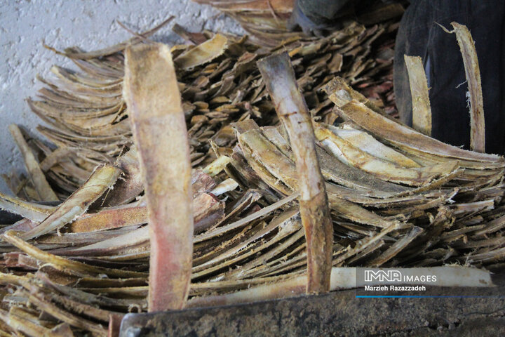 کارگاه آماده سازی استخوان خاتم‌کاری