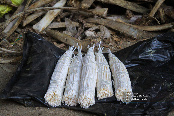 کارگاه آماده سازی استخوان خاتم‌کاری