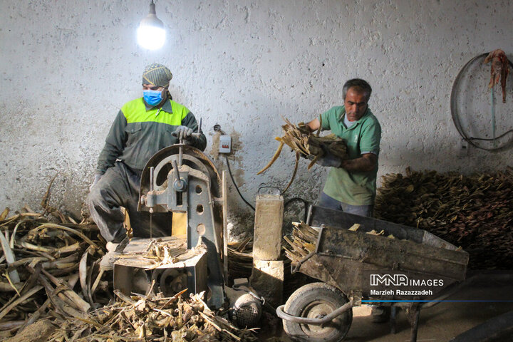 کارگاه آماده سازی استخوان خاتم‌کاری