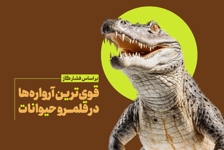 کدام حیوانات آرواره‌های قوی‌تری دارند؟