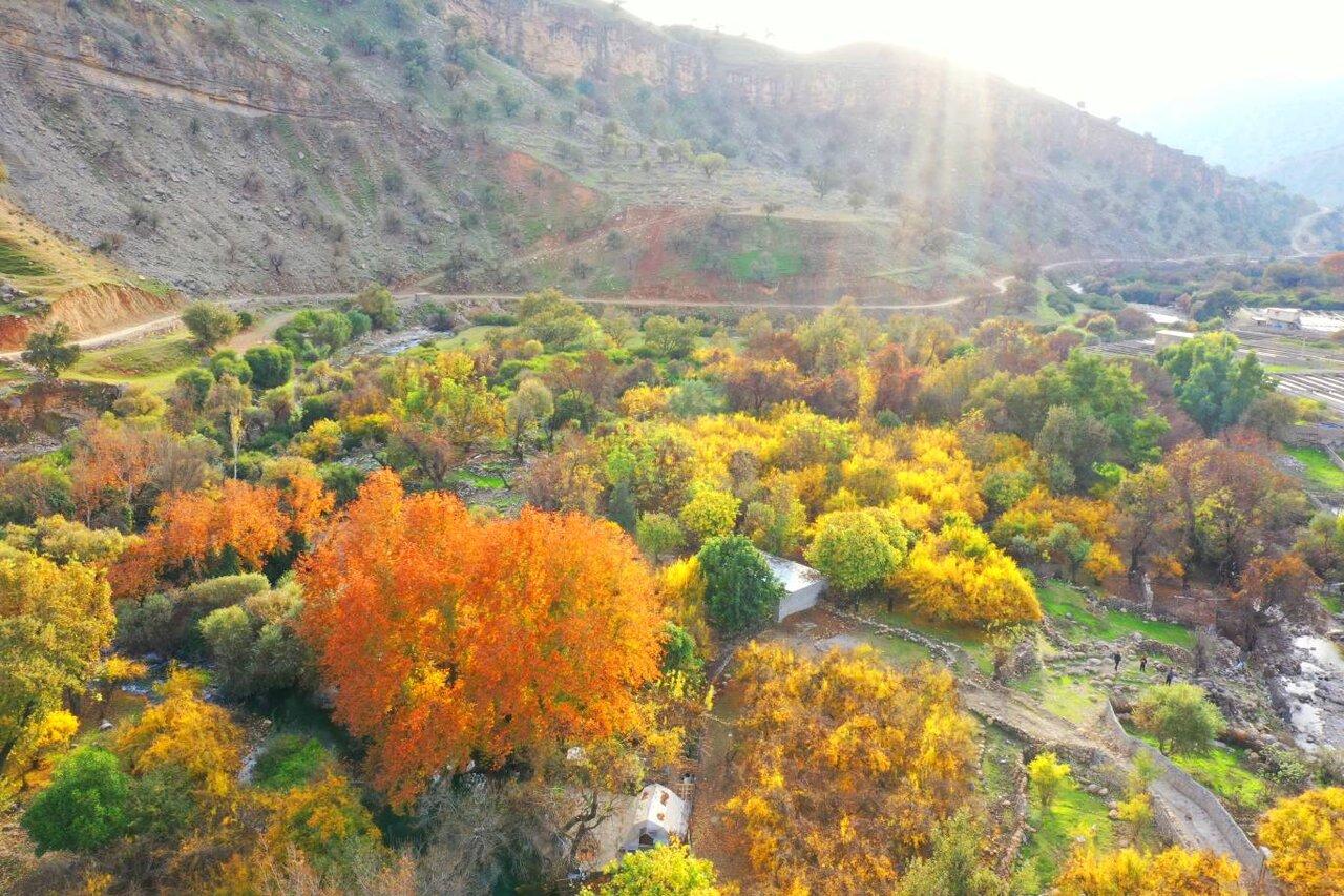 وقتی تاریخ در سایه طلایی پاییز قدم میزند