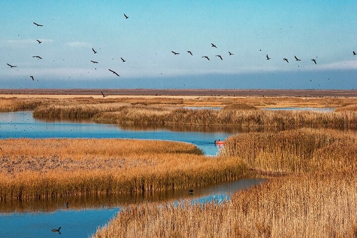 باران جانی دوباره بر تن خشک تالاب بین المللی کانی‌برازان مهاباد