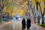 جزئیات میزان بارش ۲۴ ساعت گذشته در خراسان شمالی