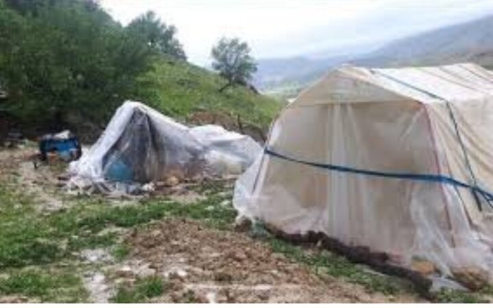 خسارت پنجاه میلیارد ریالی سیلاب به عشایر ایلام