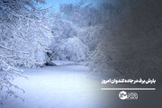 بارش برف در جاده کندوان امروز