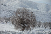 بارش برف ۵۰ سانتی‌متری در ارتفاعات چهارمحال‌ و بختیاری دور از انتظار نیست