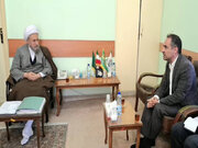 بهره‌گیری از ظرفیت ایرانیان خارج کشور برای توسعه سرمایه‌گذاری ضروری است