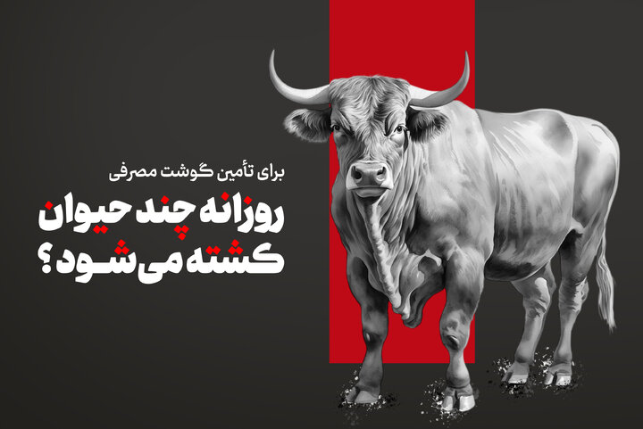 برای تأمین گوشت روزانه چند حیوان کشته می‌شود؟