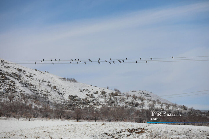 برف پاییزی در آستانه شازند ; پایان انتظار زمین تشنه