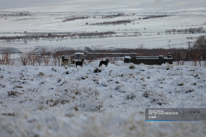 برف پاییزی در آستانه شازند ; پایان انتظار زمین تشنه