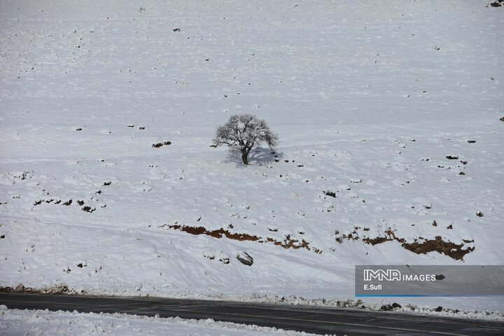 برف پاییزی در آستانه شازند ; پایان انتظار زمین تشنه