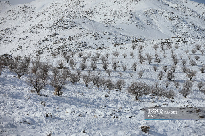برف پاییزی در آستانه شازند ; پایان انتظار زمین تشنه