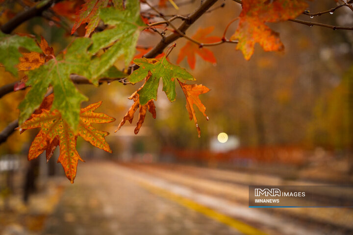 ایستگاه راه آهن بیشه لرستان