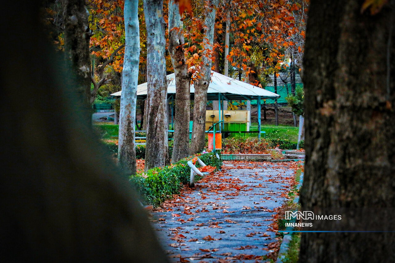 آخرین روزهای پاییز؛ اصفهان در قاب رنگ و برگ