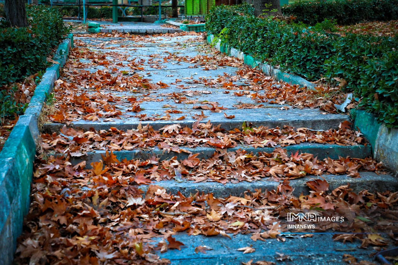 آخرین روزهای پاییز؛ اصفهان در قاب رنگ و برگ