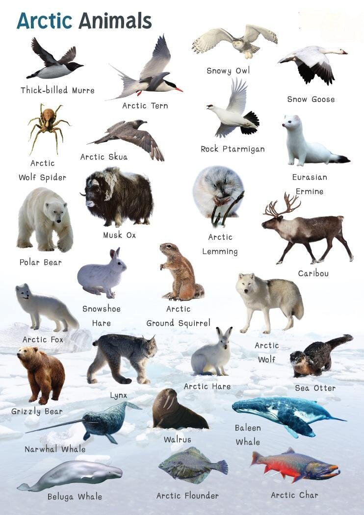 بزرگترین پارک جهان کجاست؟