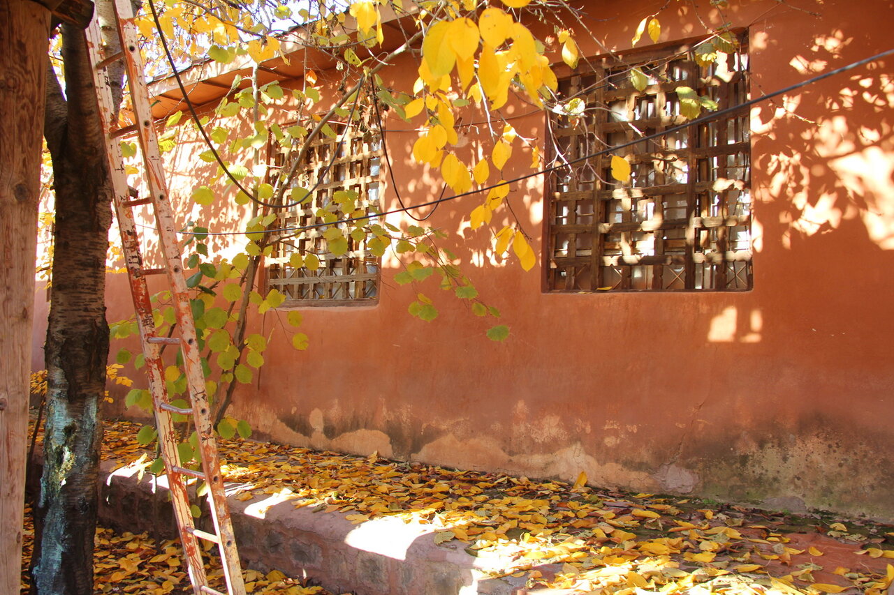 رنگهای هزارگانه پاییز در آغوش البرز / سفر به دنیای افسانهای الموت