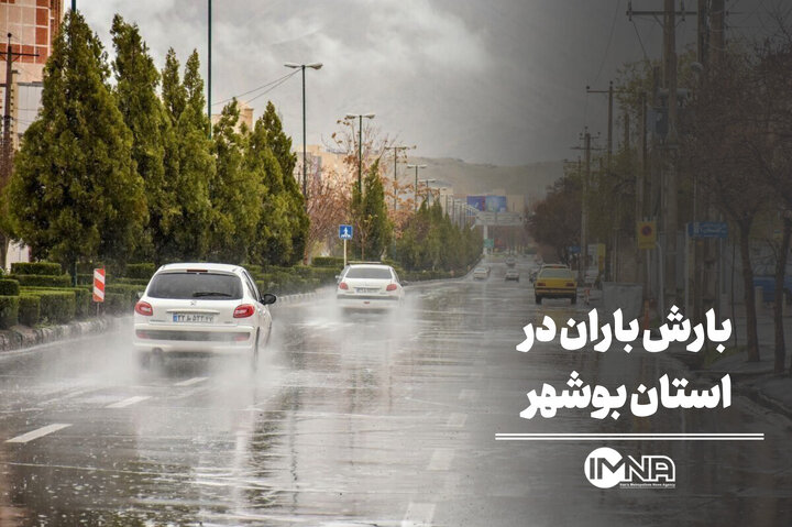بارش باران در استان بوشهر