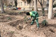 اجرای طرح‌های توسعه فضای سبز و زیباسازی معابر در منطقه ۶ اصفهان