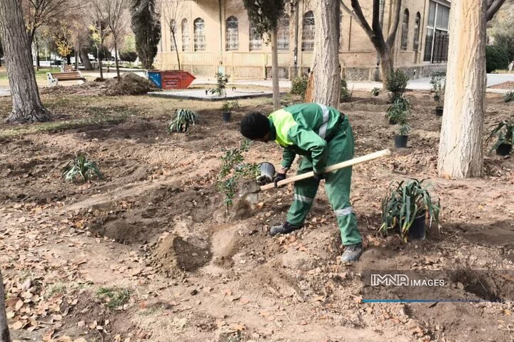 اجرای طرح‌های توسعه فضای سبز و زیباسازی معابر در منطقه ۶ اصفهان