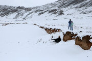 بارش برف و کولاک راه ارتباطی ۱۷۳ روستای آذربایجان‌شرقی را بست