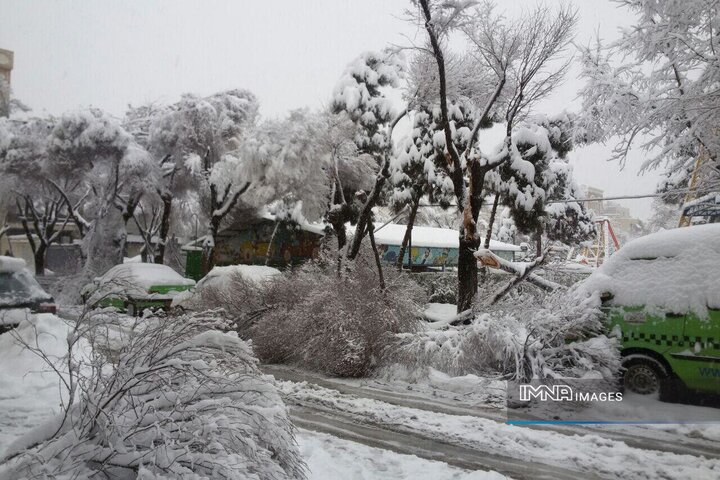 شهروندان اصفهانی از پارک خودرو زیر درختان شهر پس از بارش برف خودداری کنند