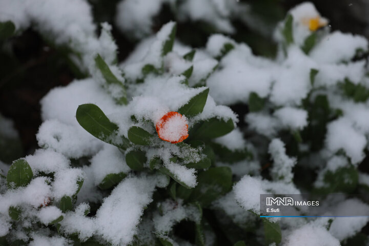 اراک؛ پاییزی که به زمستان سلام کرد